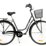 CHAMPION 28 1käik